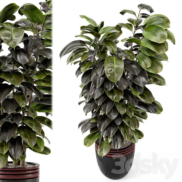 Indoor Plants in rusty Concrete Pot – Set 881 3DSMax File - thumbnail 2