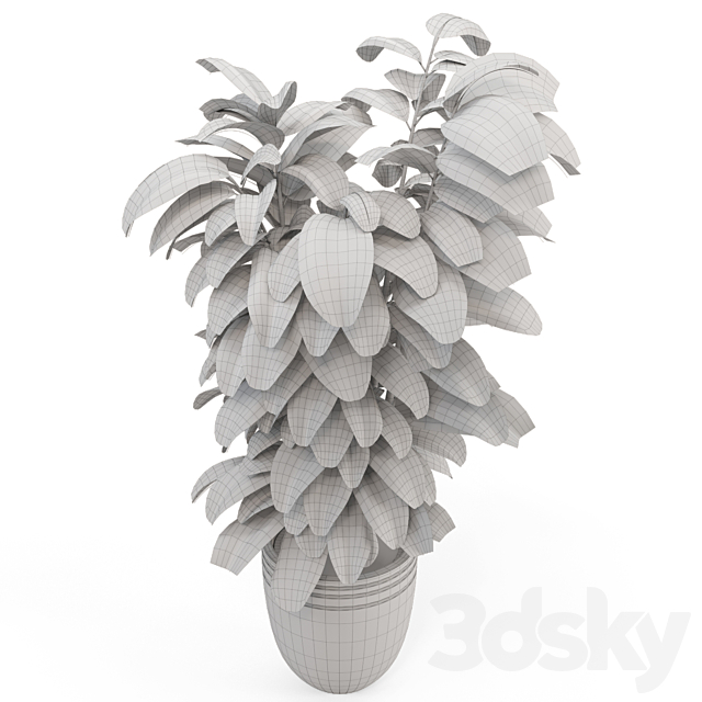 Indoor Plants in rusty Concrete Pot – Set 881 3DSMax File - thumbnail 7