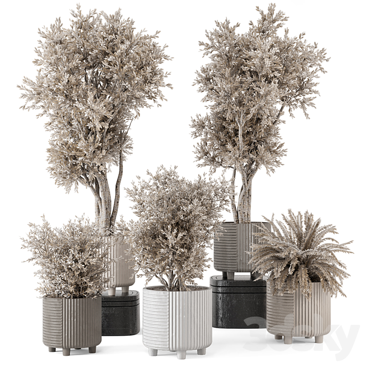 Indoor Plants in rusty Concrete Pot – Set 905 3DS Max Model - thumbnail 3