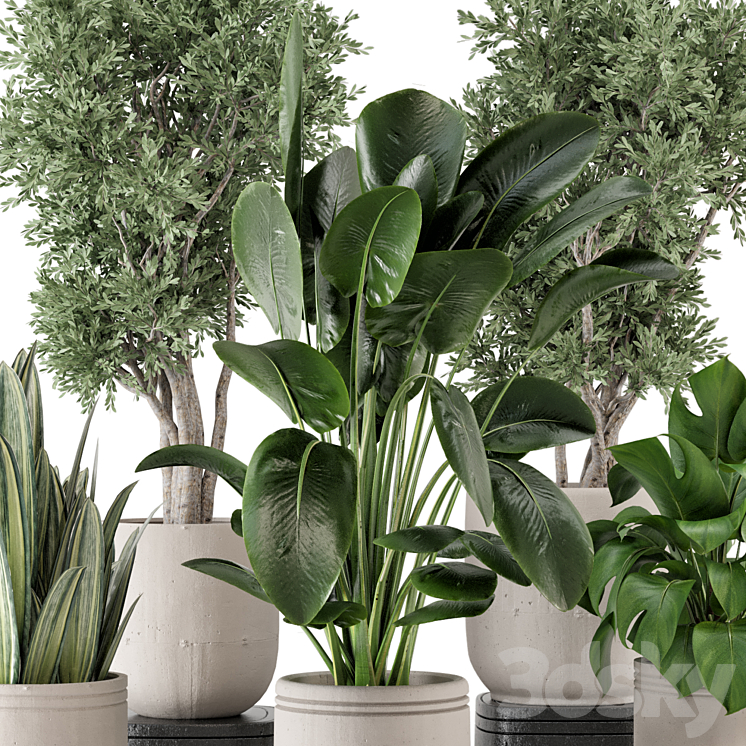 Indoor Plants in rusty Concrete Pot – Set 921 3DS Max - thumbnail 2