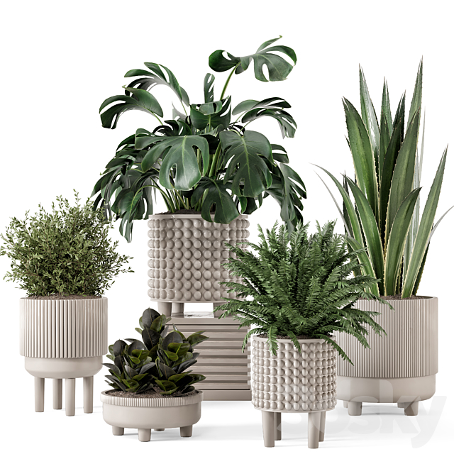 Indoor Plants in Standing Legs Small Bowl Concrete Pot – Set 1041 3ds Max - thumbnail 1