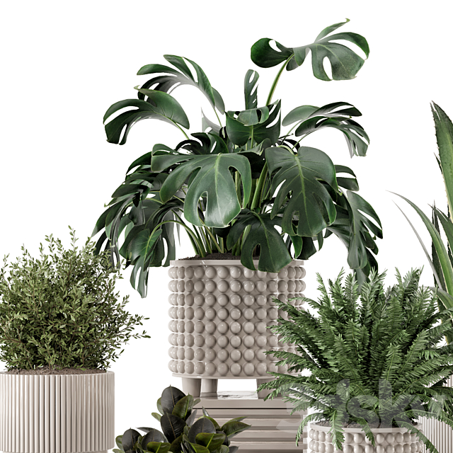 Indoor Plants in Standing Legs Small Bowl Concrete Pot – Set 1041 3ds Max - thumbnail 2