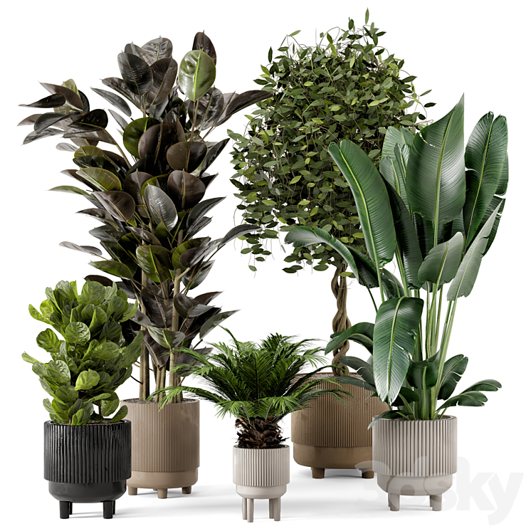 Indoor Plants in Standing Legs Small Bowl Concrete Pot – Set 212 3DS Max - thumbnail 1