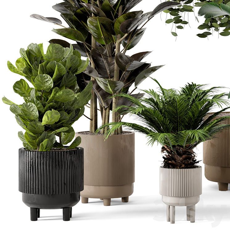 Indoor Plants in Standing Legs Small Bowl Concrete Pot – Set 212 3DS Max - thumbnail 2