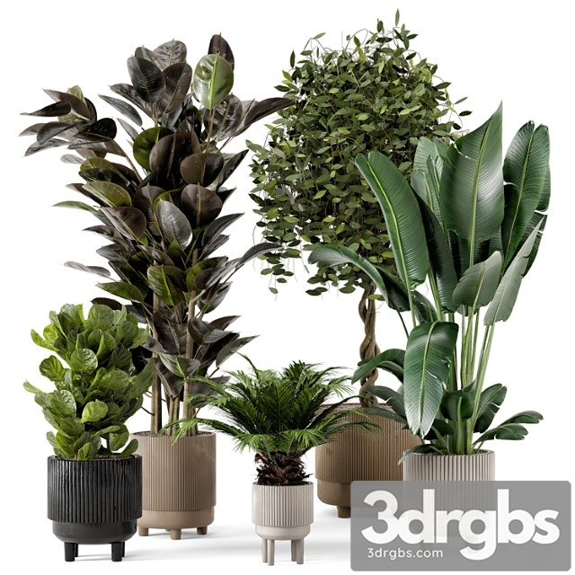 Indoor plants in standing legs small bowl concrete pot – set 212 - thumbnail 1