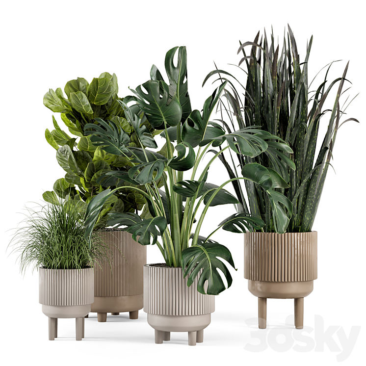 Indoor Plants in Standing Legs Small Bowl Concrete Pot – Set 214 3DS Max Model - thumbnail 3