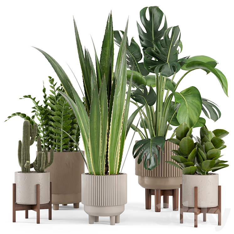 Indoor Plants in Standing Legs Small Bowl Concrete Pot – Set 245 3DS Max Model - thumbnail 3