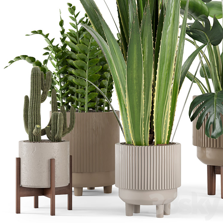 Indoor Plants in Standing Legs Small Bowl Concrete Pot – Set 245 3DS Max - thumbnail 2