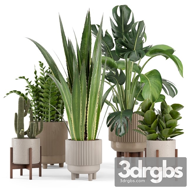 Indoor plants in standing legs small bowl concrete pot – set 245 - thumbnail 1