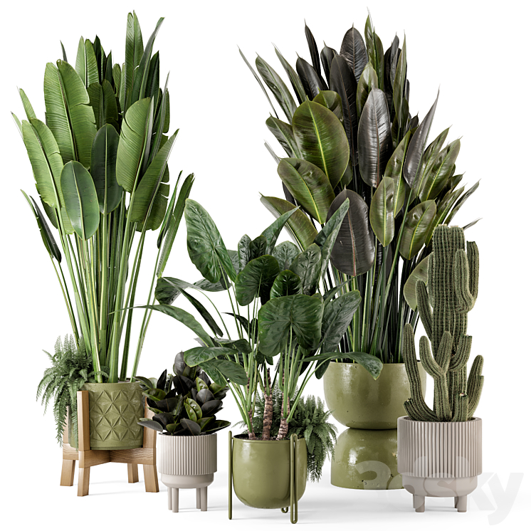 Indoor Plants in Standing Legs Small Bowl Concrete Pot – Set 563 3DS Max - thumbnail 1