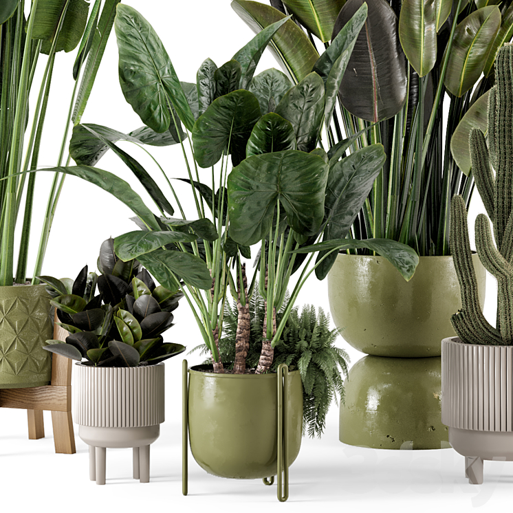 Indoor Plants in Standing Legs Small Bowl Concrete Pot – Set 563 3DS Max - thumbnail 2