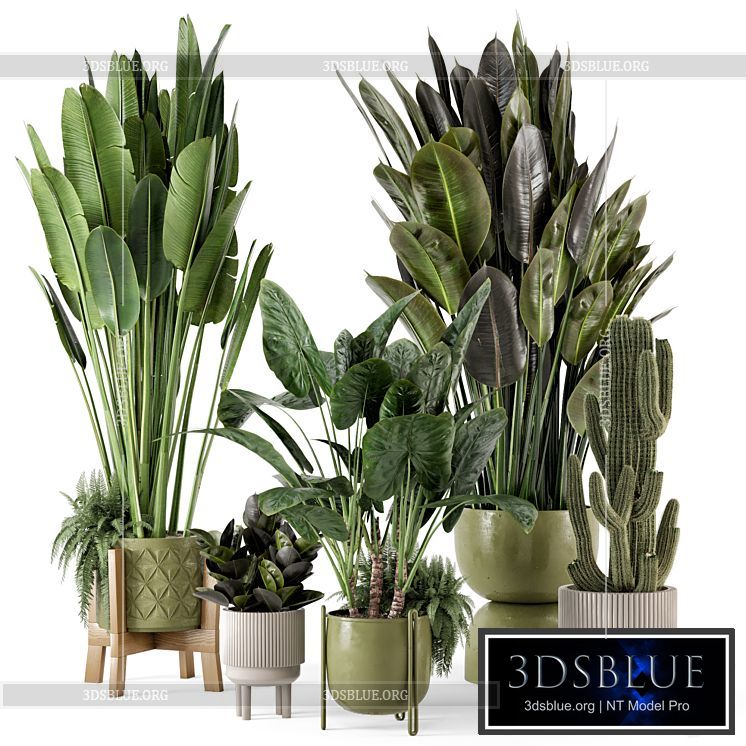 Indoor Plants in Standing Legs Small Bowl Concrete Pot – Set 563 3DS Max - thumbnail 3