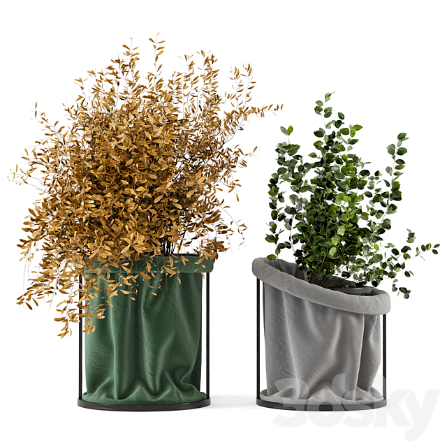 Indoor Plants In Vase with fabric cover – Set 102 3DSMax File - thumbnail 1