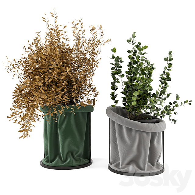 Indoor Plants In Vase with fabric cover – Set 102 3DSMax File - thumbnail 2