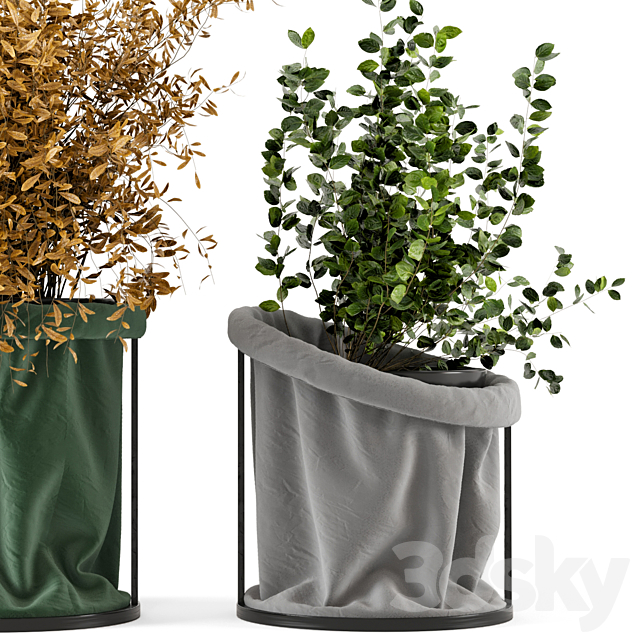 Indoor Plants In Vase with fabric cover – Set 102 3DSMax File - thumbnail 4