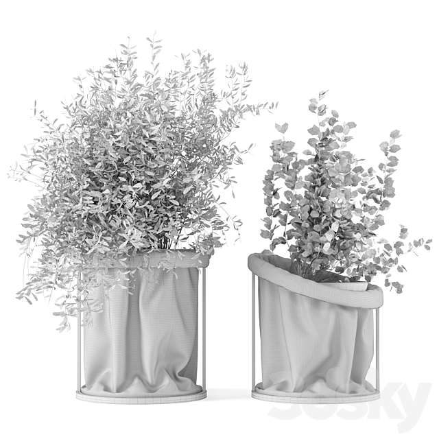 Indoor Plants In Vase with fabric cover – Set 102 3DSMax File - thumbnail 7