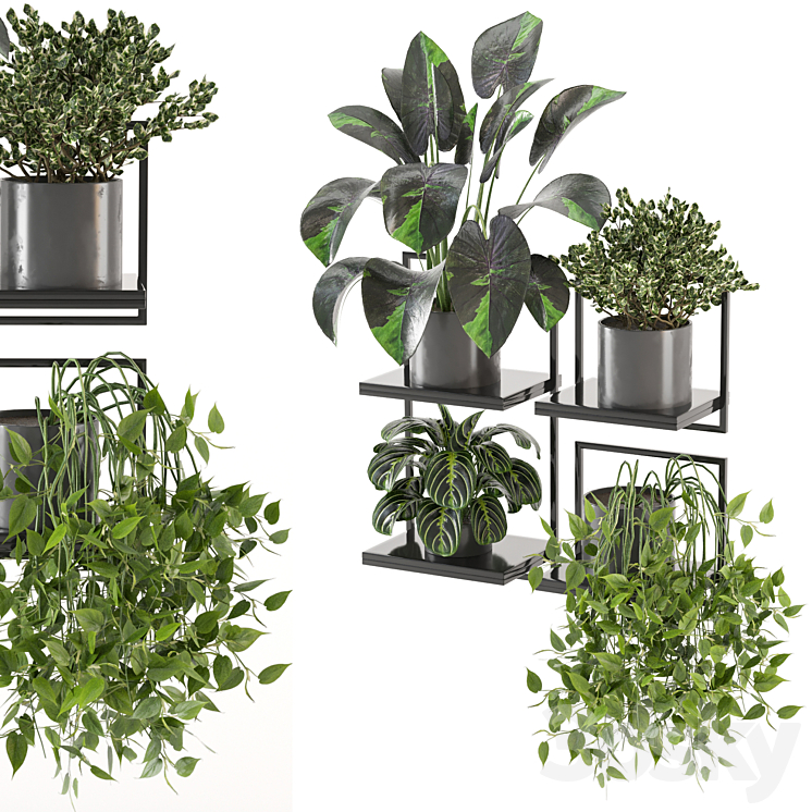 indoor plants on metal frame – Set 287 3DS Max Model - thumbnail 1