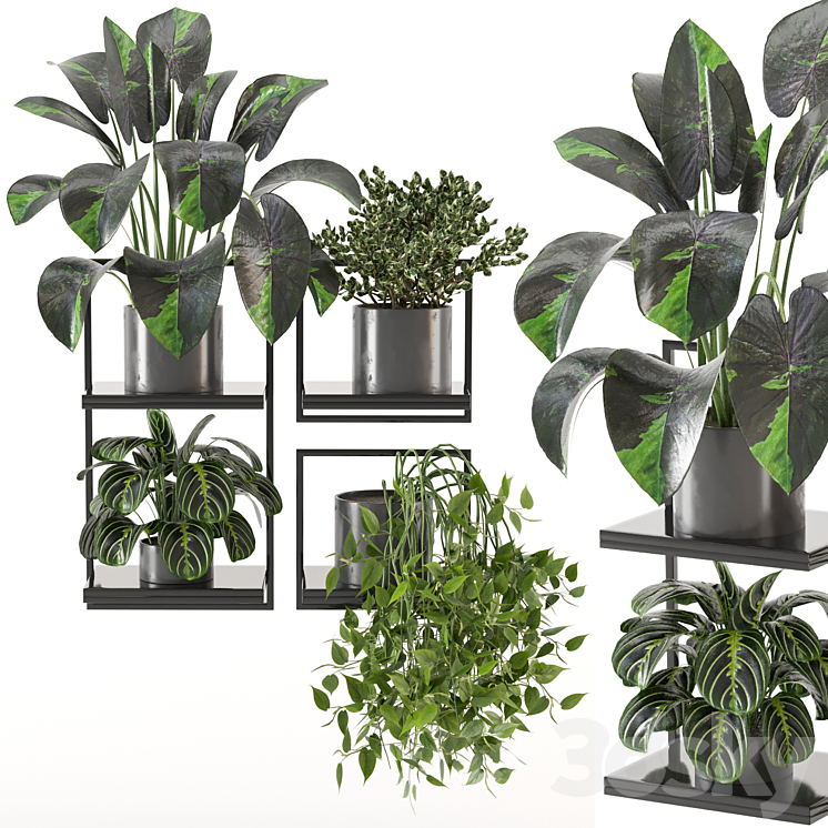 indoor plants on metal frame – Set 287 3DS Max Model - thumbnail 2