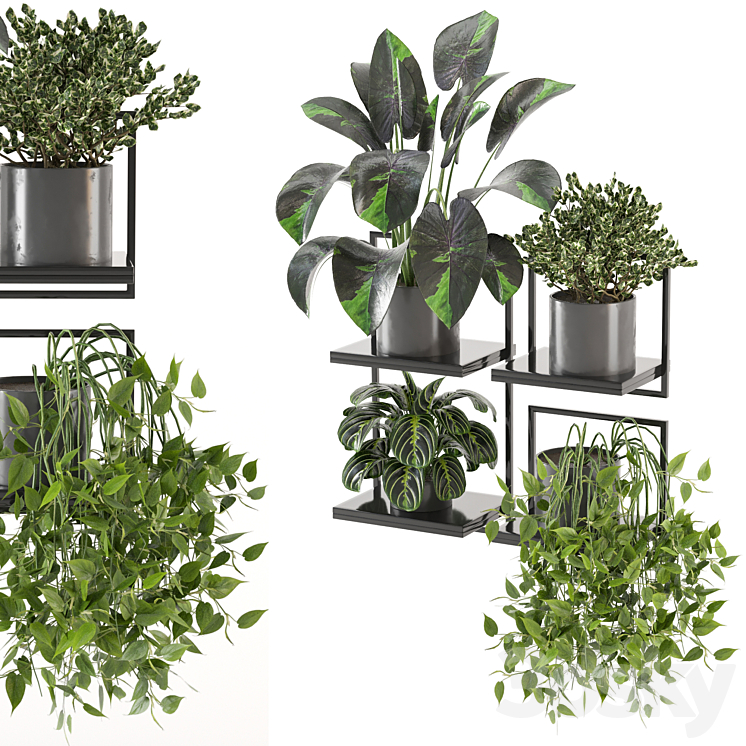 indoor plants on metal frame – Set 287 3DS Max - thumbnail 1