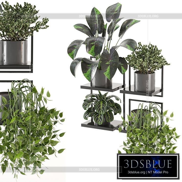 indoor plants on metal frame – Set 287 3DS Max - thumbnail 3