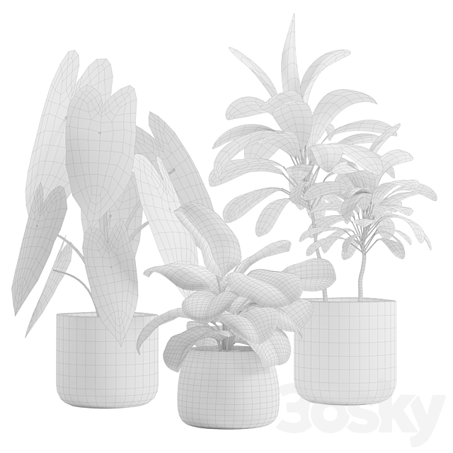 Indoor Plants Pack 14 3ds Max - thumbnail 3