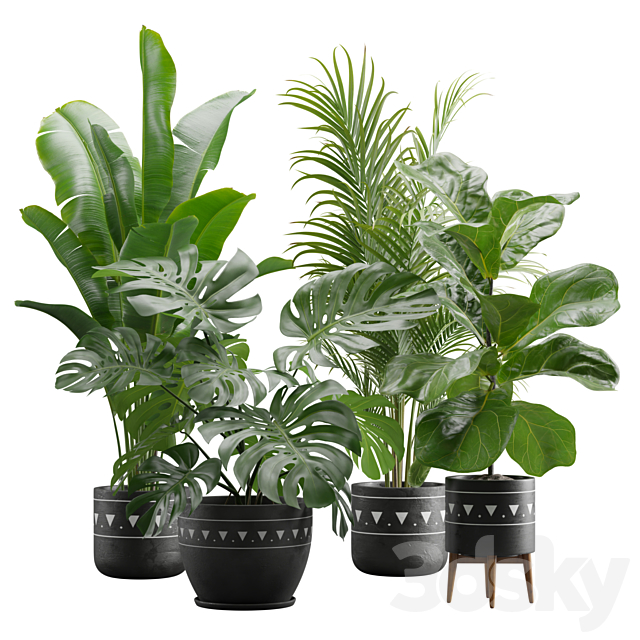 Indoor Plants Pack 17 3DSMax File - thumbnail 1