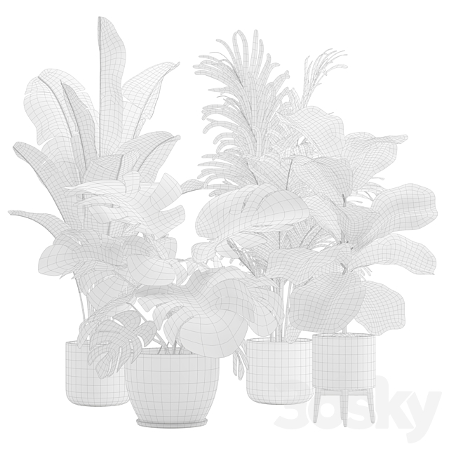 Indoor Plants Pack 17 3DSMax File - thumbnail 3