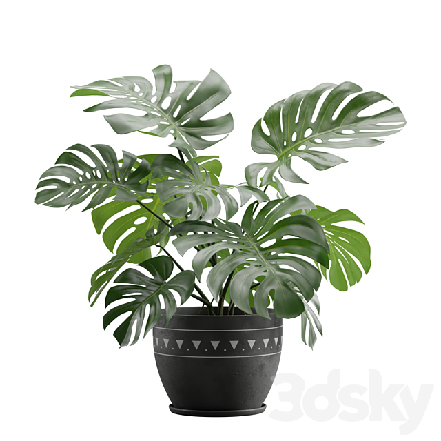 Indoor Plants Pack 17 3DSMax File - thumbnail 4