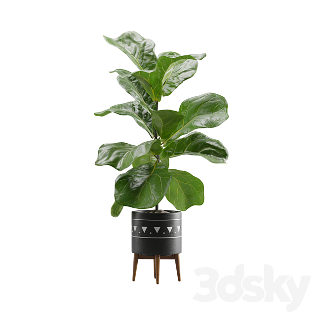 Indoor Plants Pack 17 3DSMax File - thumbnail 5