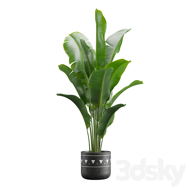 Indoor Plants Pack 17 3DSMax File - thumbnail 6