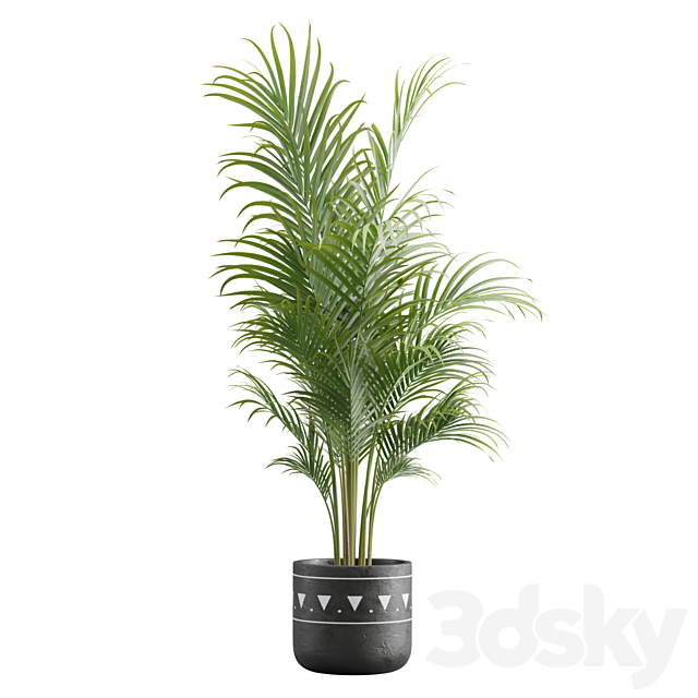 Indoor Plants Pack 17 3DSMax File - thumbnail 7