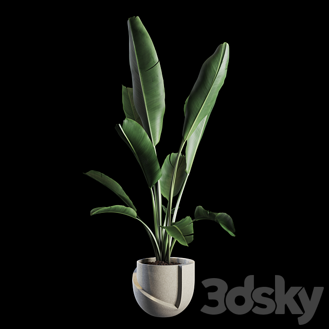 Indoor Plants Set 02 3DSMax File - thumbnail 1