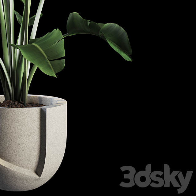 Indoor Plants Set 02 3DSMax File - thumbnail 2