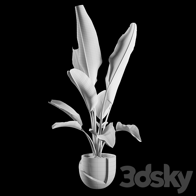 Indoor Plants Set 02 3DSMax File - thumbnail 5