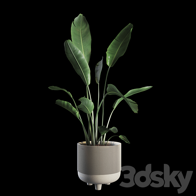 Indoor Plants Set 04 3DSMax File - thumbnail 1