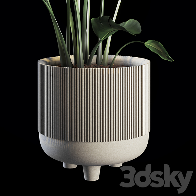 Indoor Plants Set 04 3DSMax File - thumbnail 2