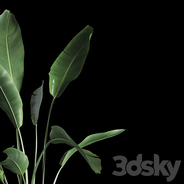 Indoor Plants Set 04 3DSMax File - thumbnail 4