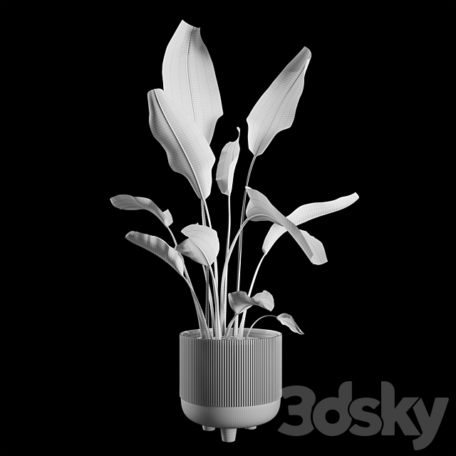 Indoor Plants Set 04 3DSMax File - thumbnail 5