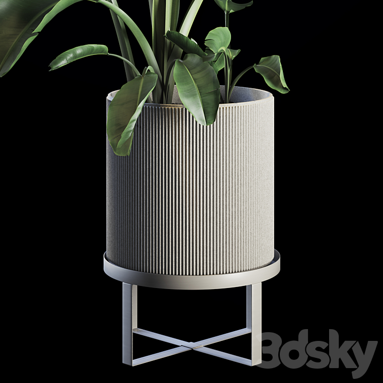 Indoor Plants Set 05 3DS Max - thumbnail 2