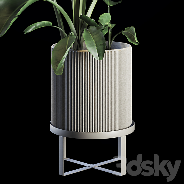 Indoor Plants Set 05 3DSMax File - thumbnail 2