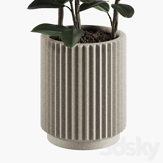 Indoor Plants Set 06 3DS Max Model - thumbnail 2