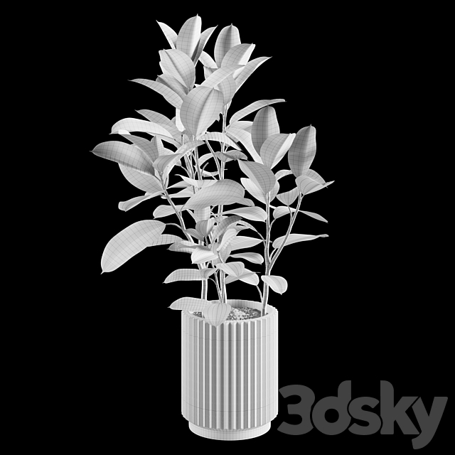 Indoor Plants Set 06 3DS Max Model - thumbnail 5