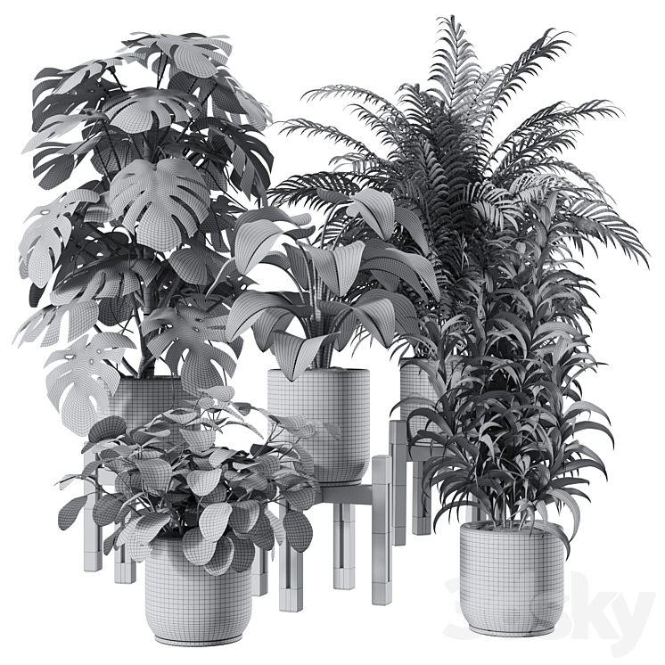 Indoor Plants Set 1 3DS Max Model - thumbnail 2