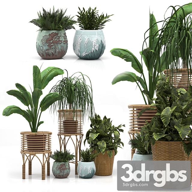 Indoor plants set - thumbnail 1