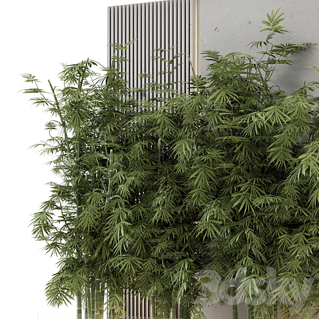 Indoor Wall Bamboo Garden in Concrete Base – Set 1529 3DS Max Model - thumbnail 2