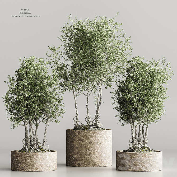 indoor_plant collection set vol 71 3DS Max Model - thumbnail 1