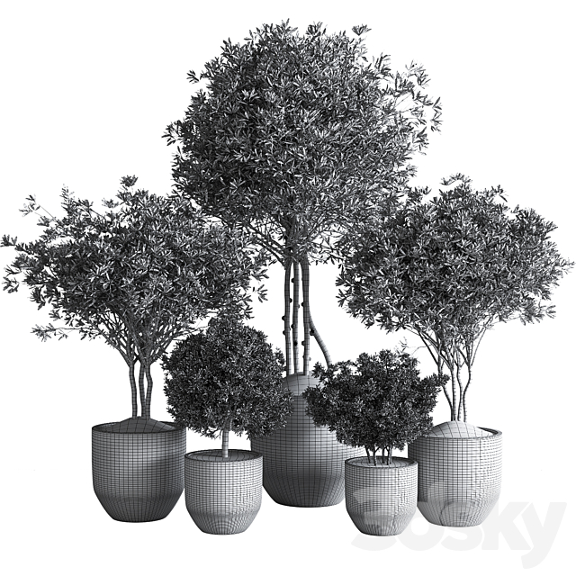 Indoor_Plant_Set13_Corona 3DSMax File - thumbnail 6