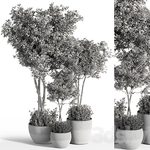 Indoor_Plant_Set_25 3DS Max Model - thumbnail 4