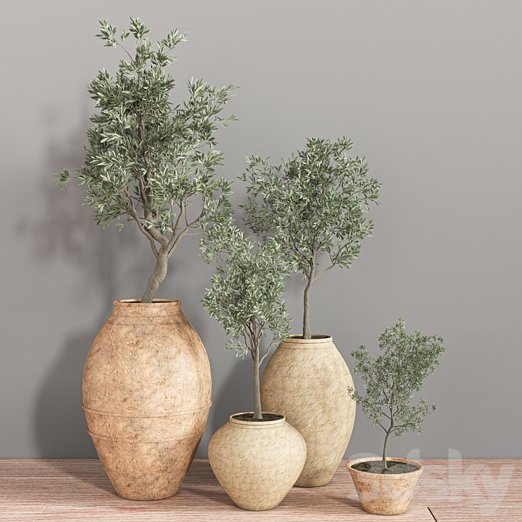 indoor_plant_set_28 3DS Max Model - thumbnail 2