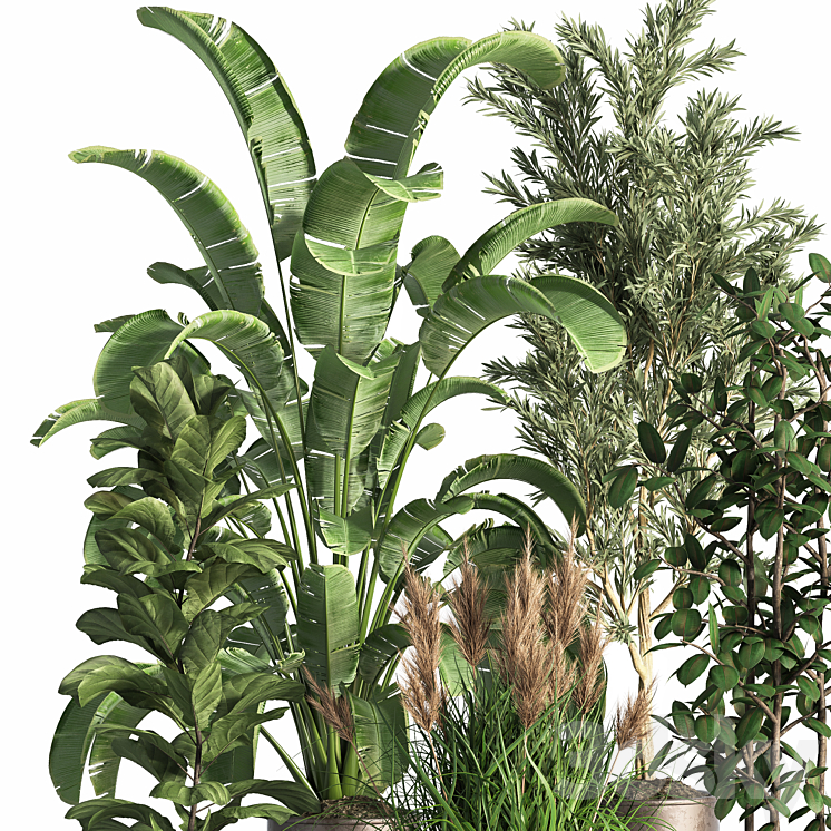 Indoor_Plant_Set_43 3DS Max - thumbnail 2